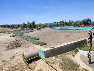 Jardineria: Diseño y Mantenimiento bodas en altura