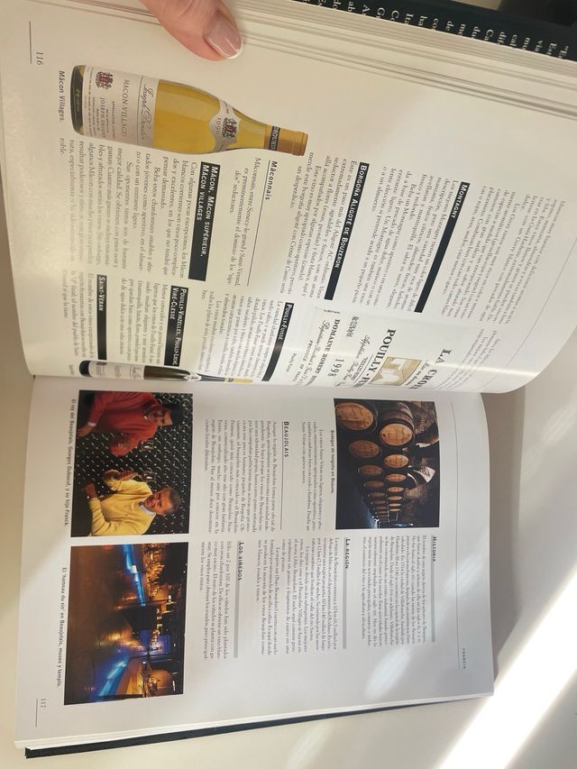 Enciclopedia del vino (Grandes obras series)