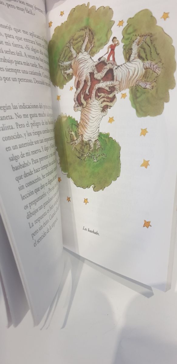 Libro El Principito
