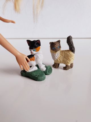 I cuccioli tascabili, Kitty in my pocket: gatti