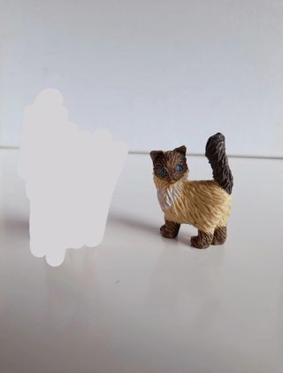 I cuccioli tascabili, Kitty in my pocket: gatti