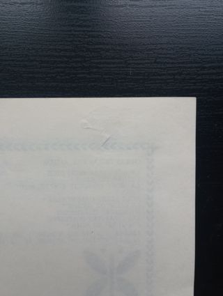 Alexis o el tratado del inútil combate