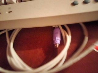 Tastiera vintage Microsoft