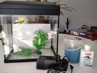 Pack acuario (guppis)