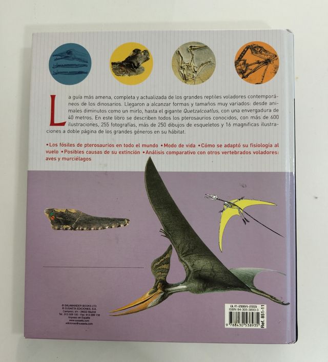 Pterosaurios (Spanish Edition)