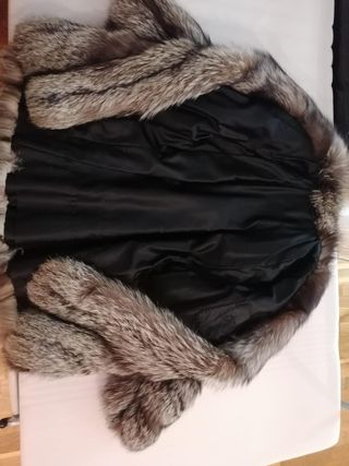 Caqueton zorro argente