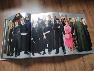 HARRY POTTER: DE LA PÁGINA A LA PANTALLA. EL VIAJE