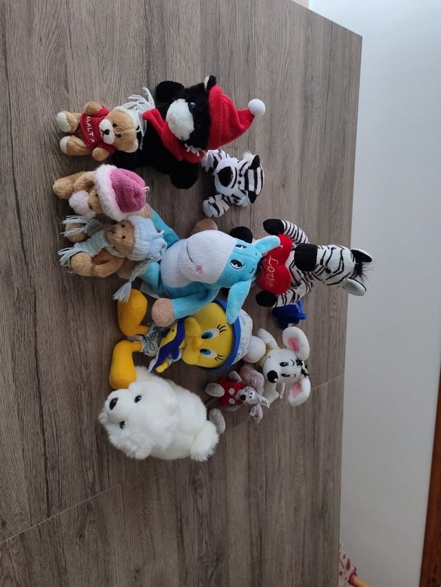 11 Peluche Animali vario tipo.