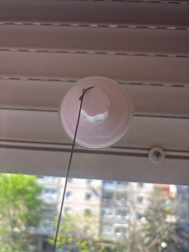 Hamaca para gatos - colgar ventana