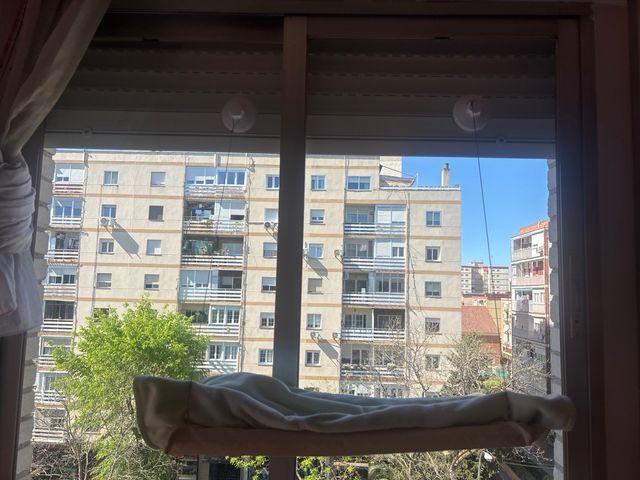 Hamaca para gatos - colgar ventana