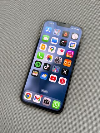 iPhone 13 Pro Max Verde 1TB