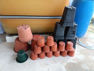 Conjunto de Macetas