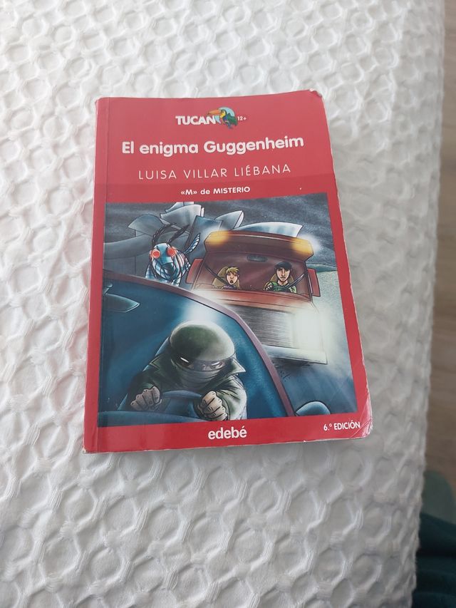 EL ENIGMA GUGGENHEIM