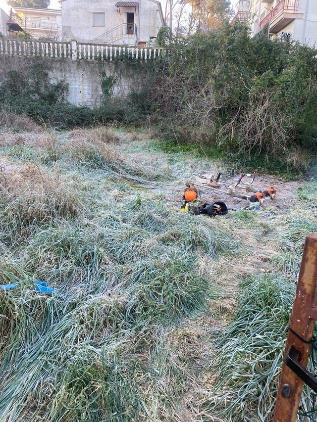 Desbroce de zonas verdes