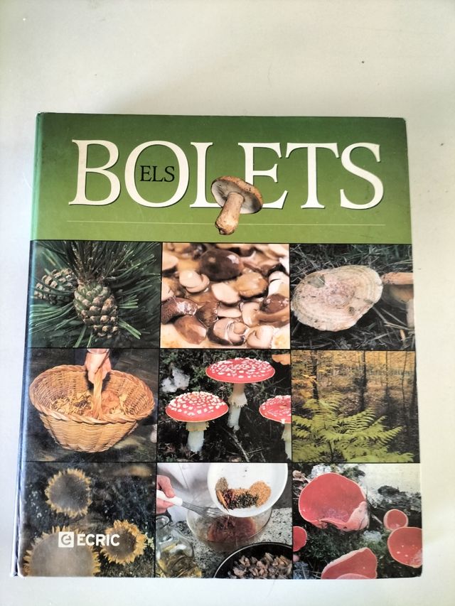 ELS BOLETS