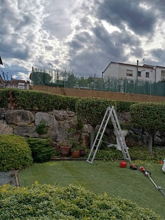 Limpieza jardín: herramientas