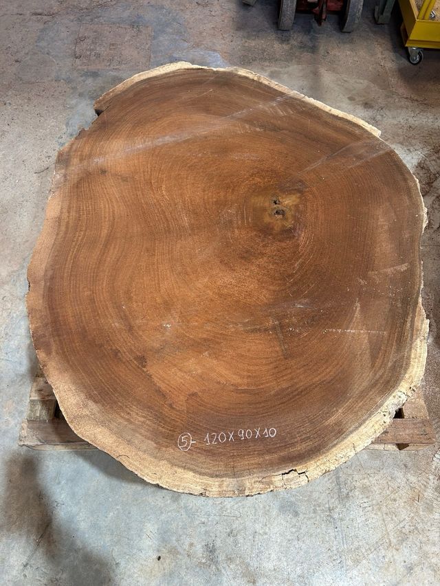 Tablón de madera de Parota para hacer mesa o centro