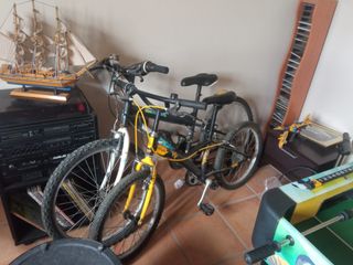 Vendo 2 bicis MTB de 20 y 24 pulgadas seminuevas
