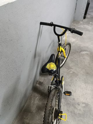 Vendo 2 bicis MTB de 20 y 24 pulgadas seminuevas