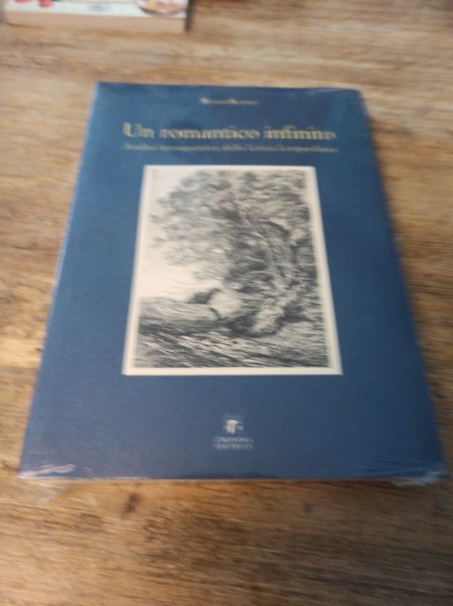 Un Romantico Infinito: Analisi Introspettiva De...