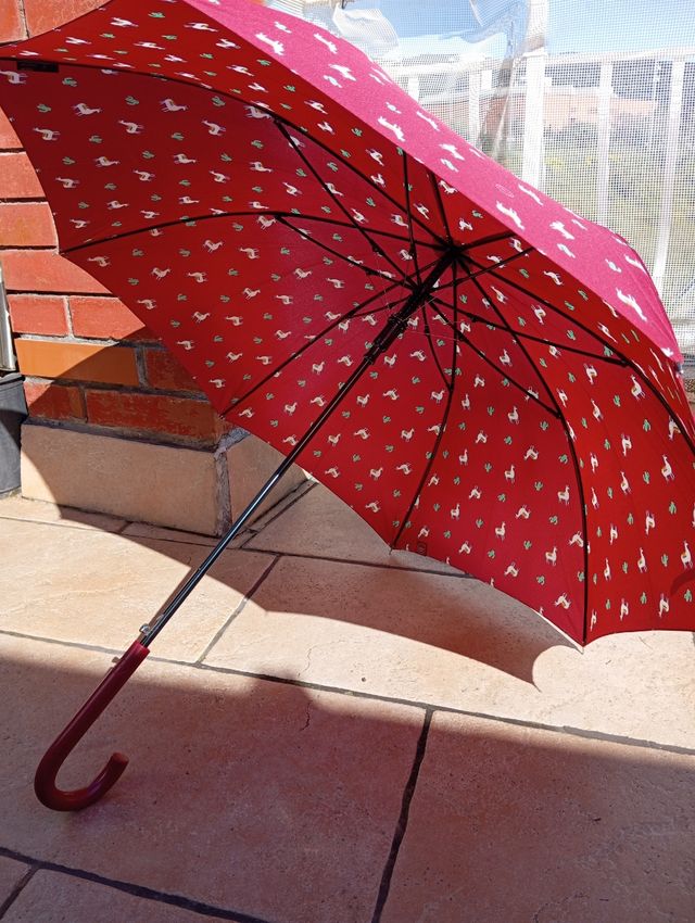 Paraguas llamas rojas