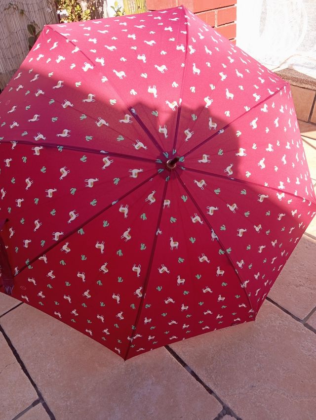 Paraguas llamas rojas