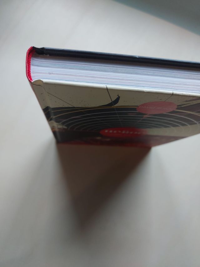 El héroe 2 De David Rubin