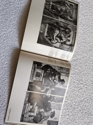 CATALOGO TESOROS ARTÍSTICOS MUSEO VATICANO 1962