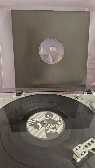 Vinilo C&B Project - Flash and Bone