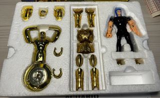 Caballeros del zodiaco Acuario