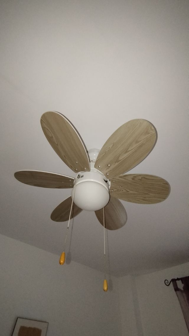 Ventiladores  techo techo 6 aspas