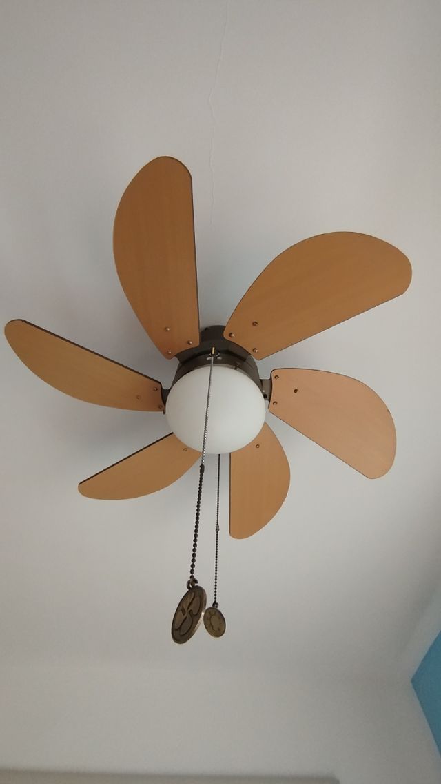 Ventiladores  techo techo 6 aspas