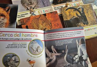 Mis animales favoritos