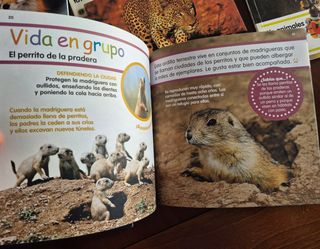 Mis animales favoritos