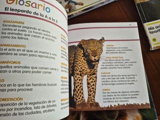 Mis animales favoritos