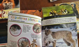 Mis animales favoritos