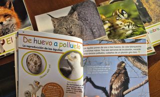 Mis animales favoritos