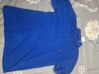Polos Ralph Lauren & Tommy Hilfiger