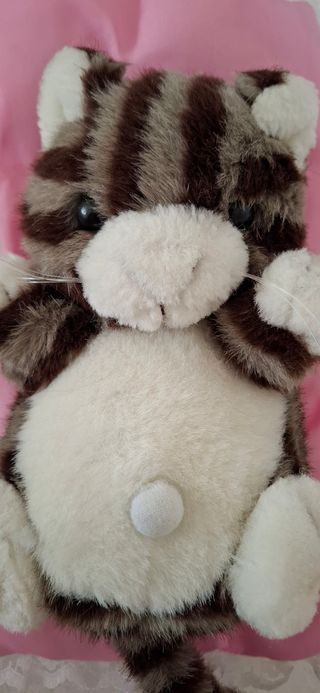 Peluche gatto nanna