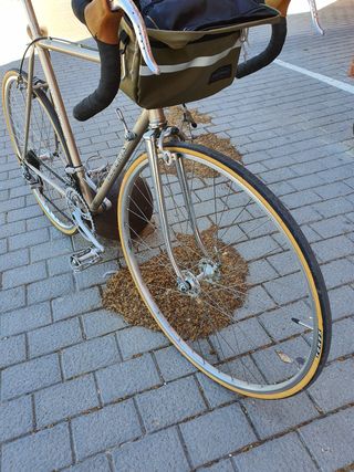Bicicleta paseo carretera vintage