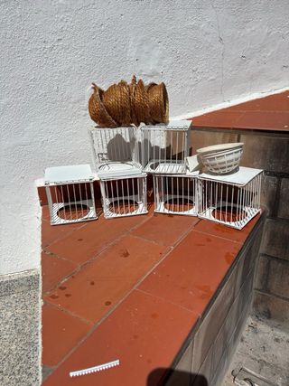 Accesorios jaulas pájaros: 3 comederos + 12 recipi