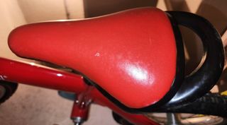 Bicicleta 14 pulgadas