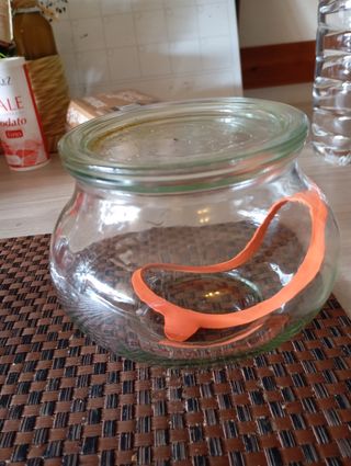 Vasetti per marmellata o altro