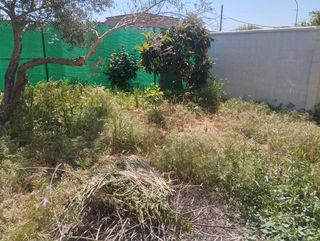 Mantenimiento de terrenos