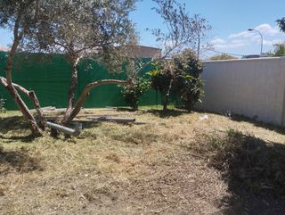 Mantenimiento de terrenos