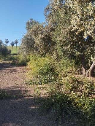 Mantenimiento de terrenos