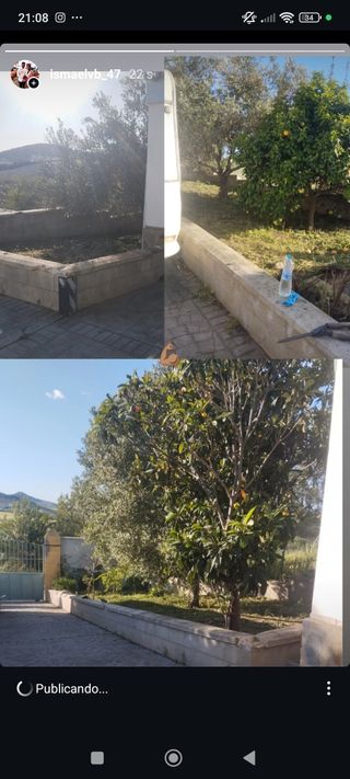 Mantenimiento de terrenos