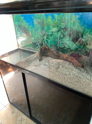 Acuario 240 Litros con Mueble
