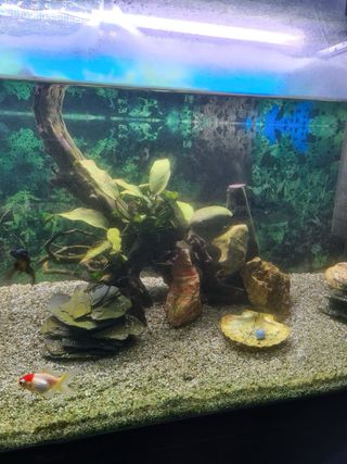 Acuario 240 Litros con Mueble