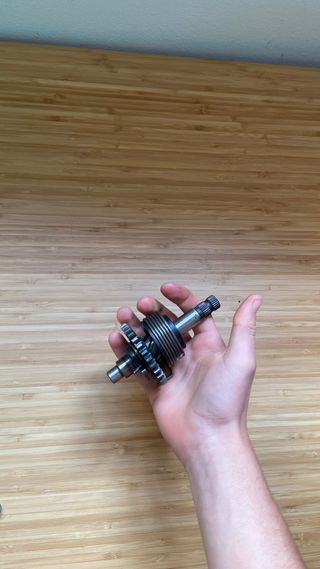 Engranaje pata de arranque